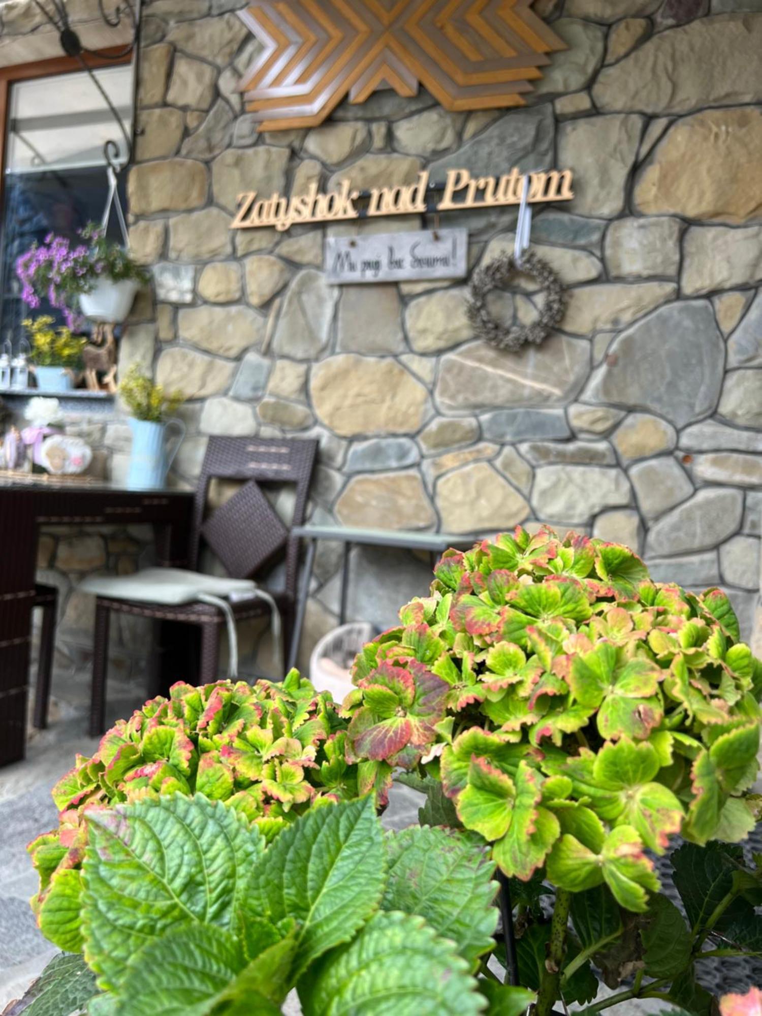 Zatyshok Nad Prutom 호텔 부코벨 외부 사진